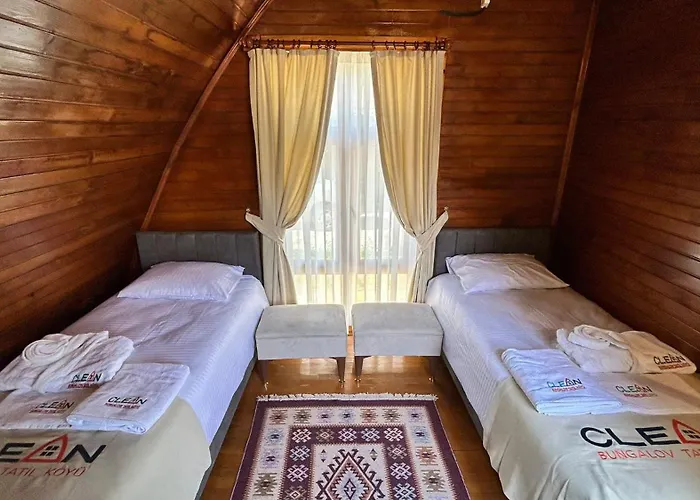 Zeyve Tatil Koeyue *