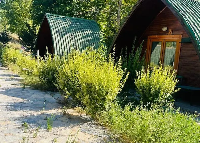 Ξενοδοχείο Zeyve Tatil Koeyue